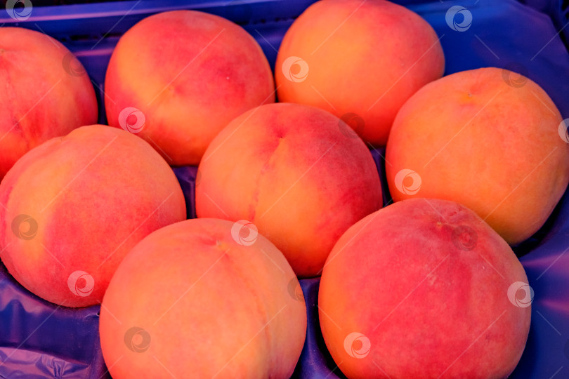 Скачать Поднос с персиками на синем фоне фотосток Ozero