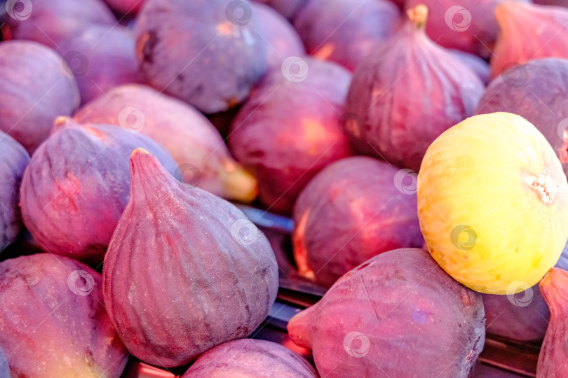 Скачать Пучок фиолетового инжира и один желтый фотосток Ozero