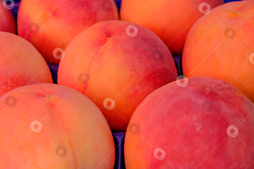 Скачать На подносе лежит гроздь персиков фотосток Ozero