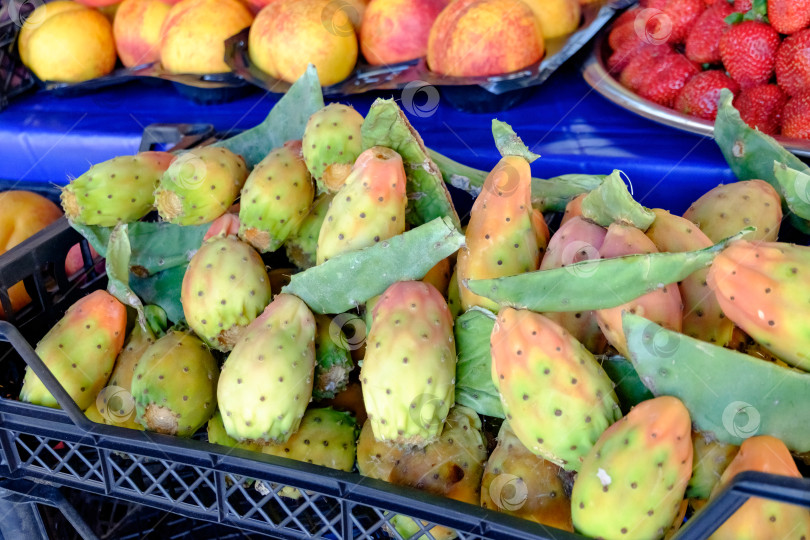 Скачать На столе выставлена корзина с плодами опунции фотосток Ozero