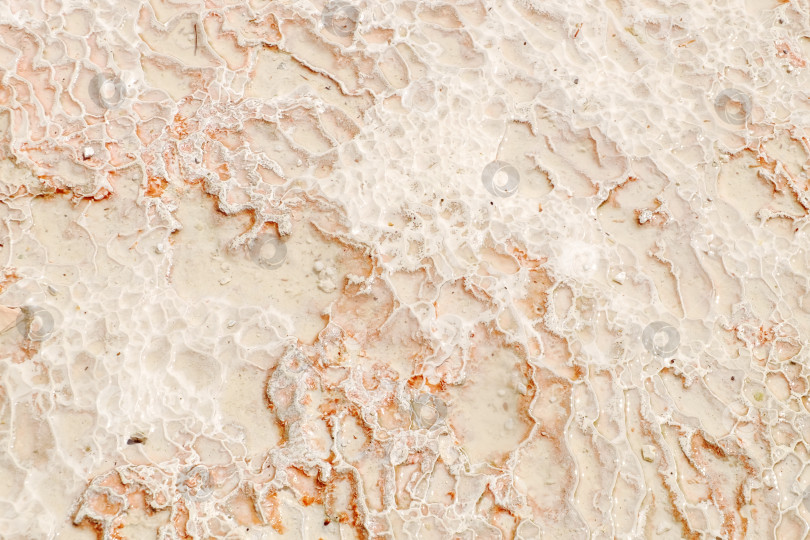 Скачать Порода белого и коричневого цвета фотосток Ozero