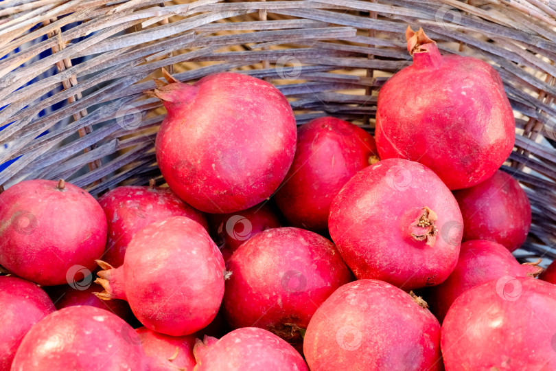 Скачать Корзина, полная красных гранатов фотосток Ozero