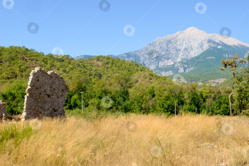 Скачать Гора находится на заднем плане поля фотосток Ozero