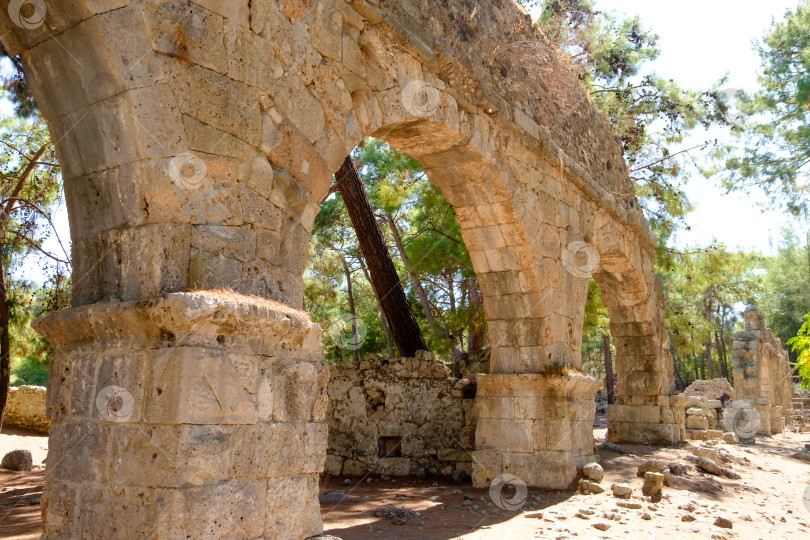 Скачать Каменная арка с растущим из нее деревом фотосток Ozero