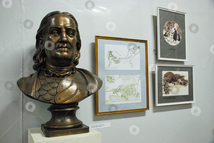 Скачать Бронзовый бюст исторического деятеля в обрамлении произведений искусства выставлен в музее фотосток Ozero