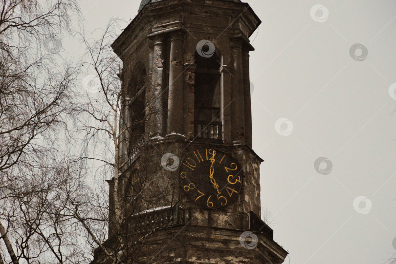 Скачать Старая башня со старинными часами среди голых деревьев в пасмурный день фотосток Ozero