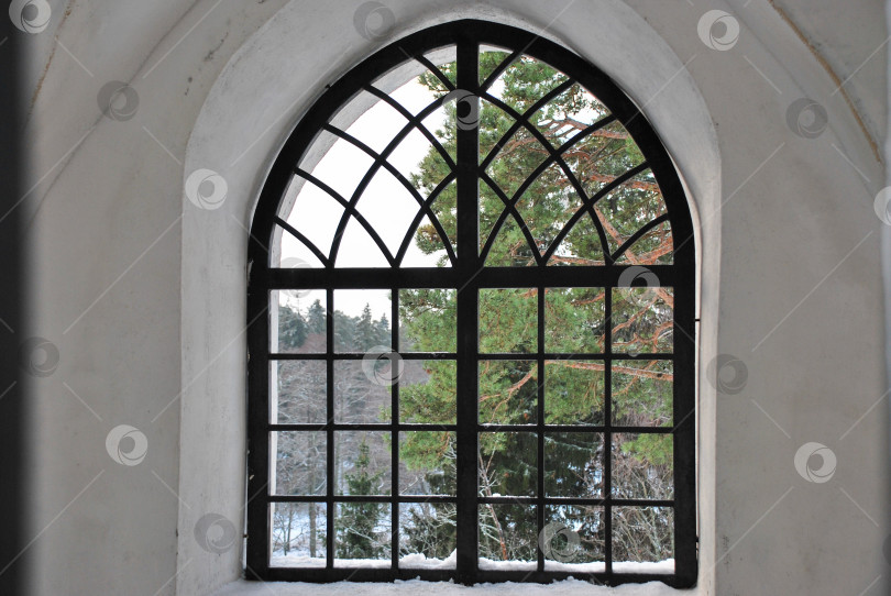 Скачать Арочное готическое окно с кованой решеткой выходит на заснеженный сосновый лес фотосток Ozero