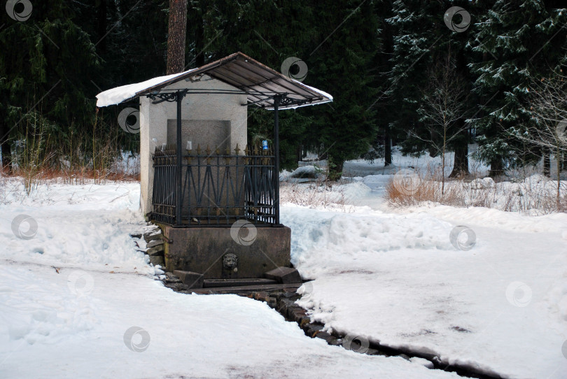 Скачать Снежный пейзаж с небольшим надгробным сооружением в зимнем лесу фотосток Ozero