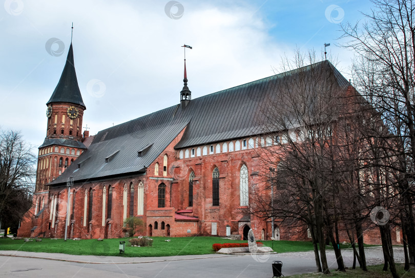 Скачать Исторический готический кирпичный собор с высоким шпилем и голыми деревьями в городской среде фотосток Ozero