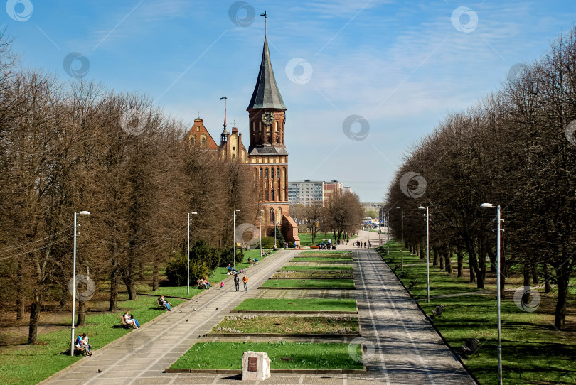 Скачать Собор со шпилем и пышной садовой дорожкой в солнечный день фотосток Ozero