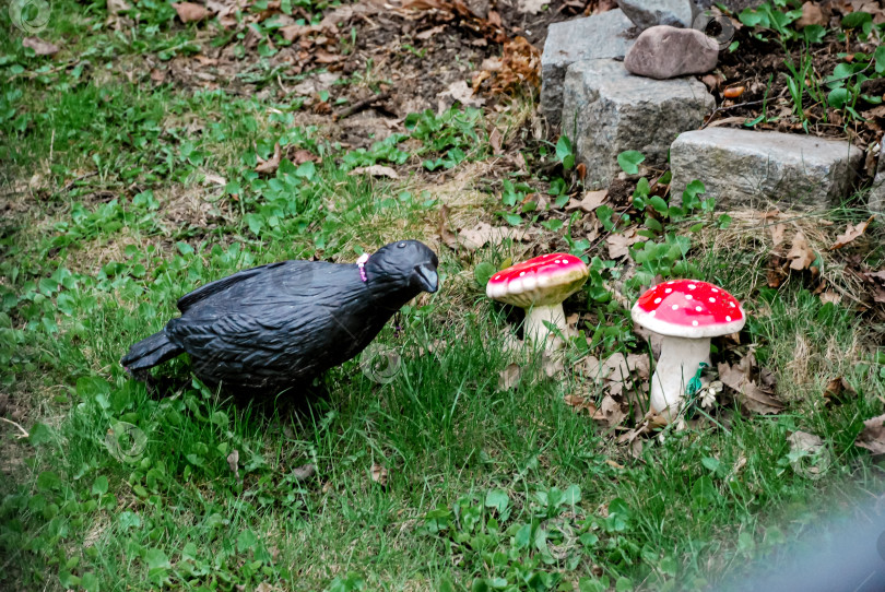 Скачать Фигурка черного ворона с красными грибами в саду фотосток Ozero