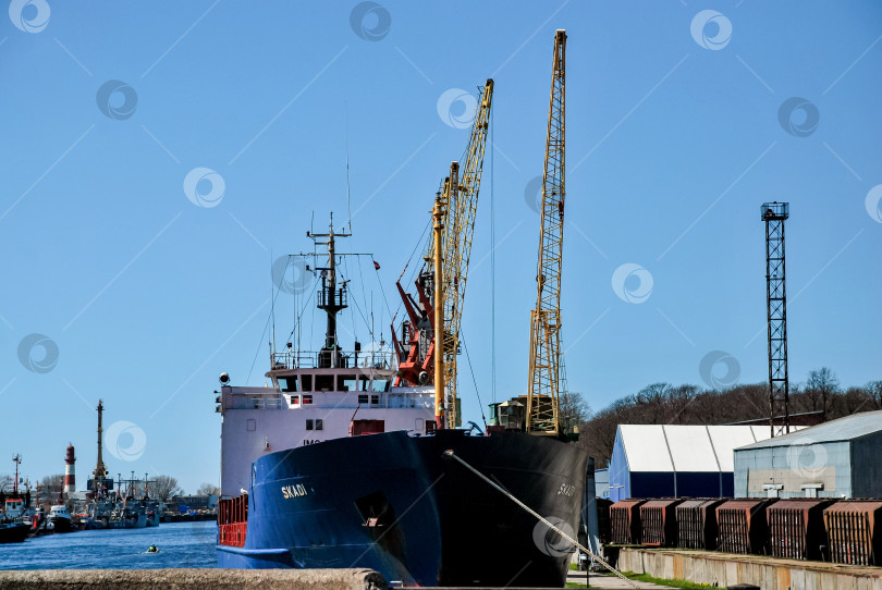 Скачать Большой грузовой корабль пришвартовался в промышленной гавани с кранами под ясным небом фотосток Ozero