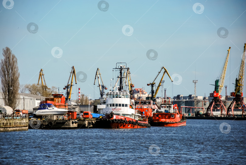 Скачать Оживленная портовая сцена с буксирами и кранами в промышленном порту фотосток Ozero