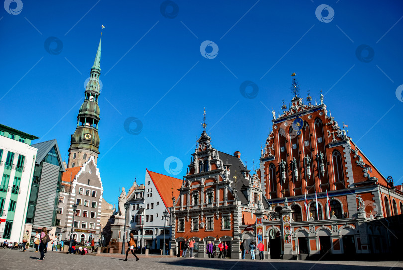 Скачать Историческая архитектура Риги: дом черноголовых и башня церкви святого Петра в солнечный день фотосток Ozero