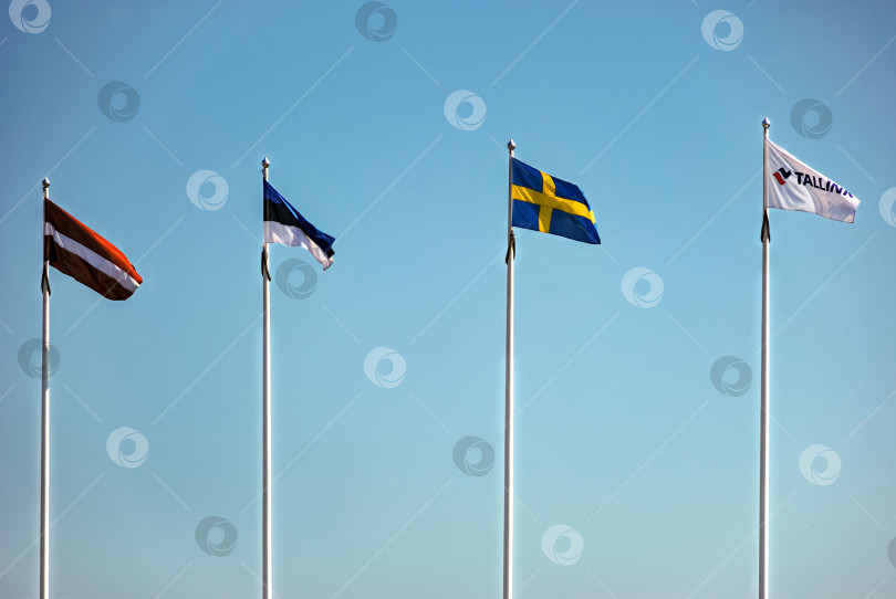 Скачать Флаги Латвии, Эстонии, Швеции и tallink на фоне ясного голубого неба фотосток Ozero