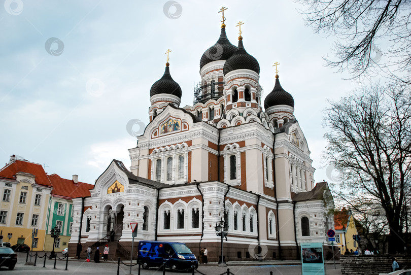 Скачать Величественный собор Александра Невского с луковичными куполами в Таллине фотосток Ozero