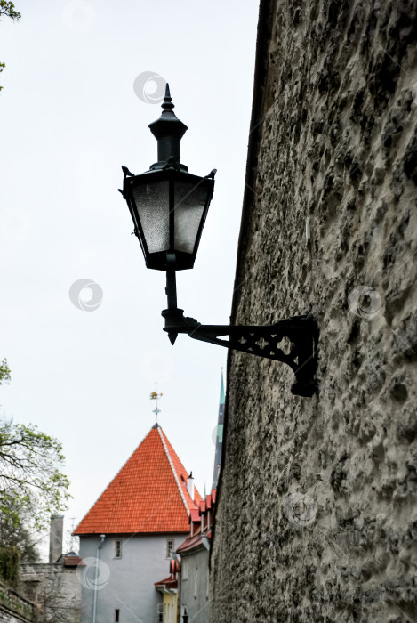 Скачать Исторический уличный фонарь на каменной стене с красными крышами зданий в Таллине фотосток Ozero