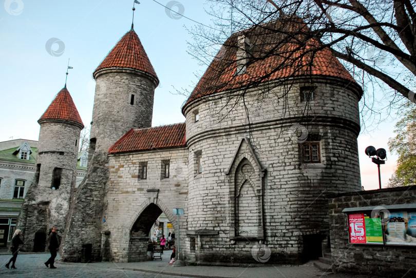 Скачать Средневековые каменные ворота и башни в старом городе Таллина фотосток Ozero