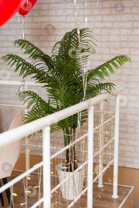 Скачать Комнатное тропическое растение с праздничным декором фотосток Ozero