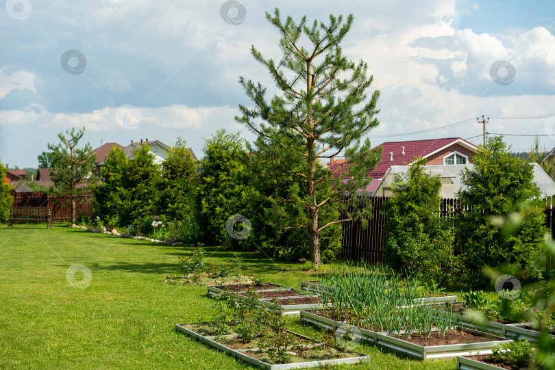 Скачать Пышный сад на заднем дворе с приподнятыми клумбами фотосток Ozero