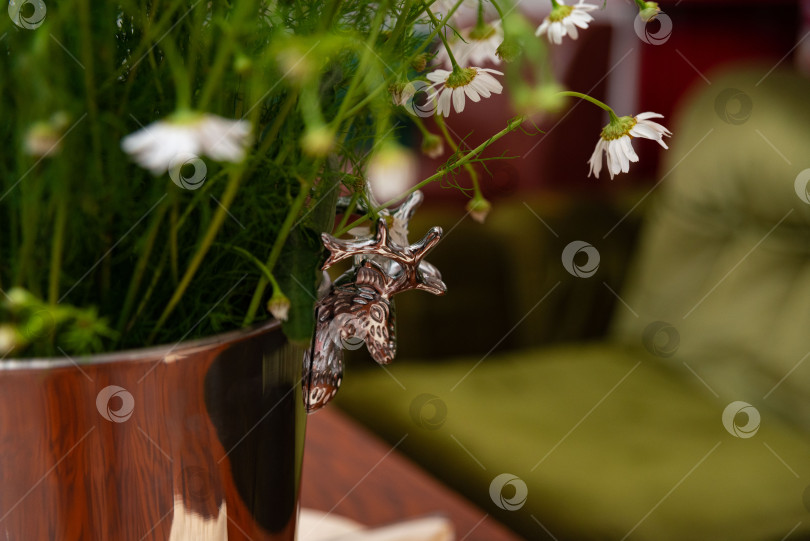 Скачать Маргаритки в металлической вазе на уютном диване фотосток Ozero