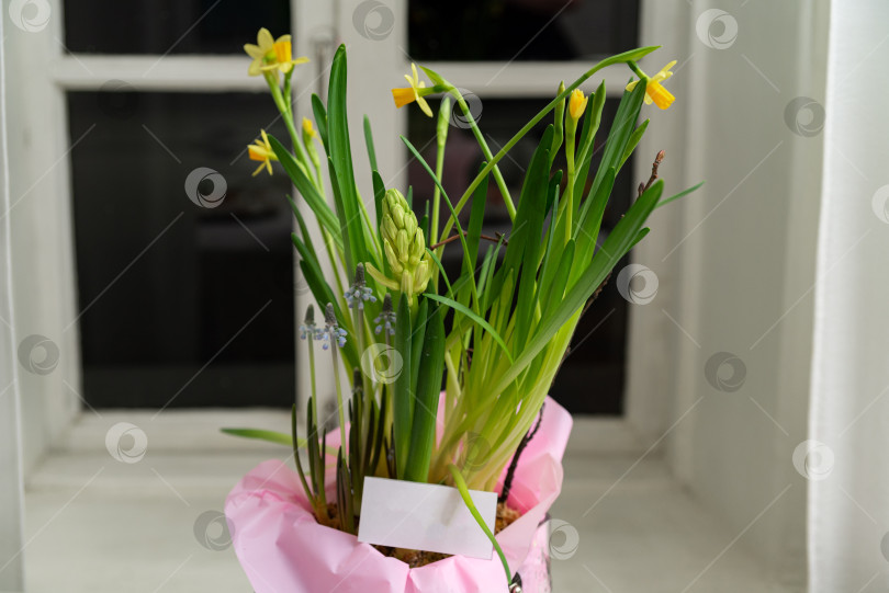 Скачать Весенний букет с желтыми нарциссами фотосток Ozero