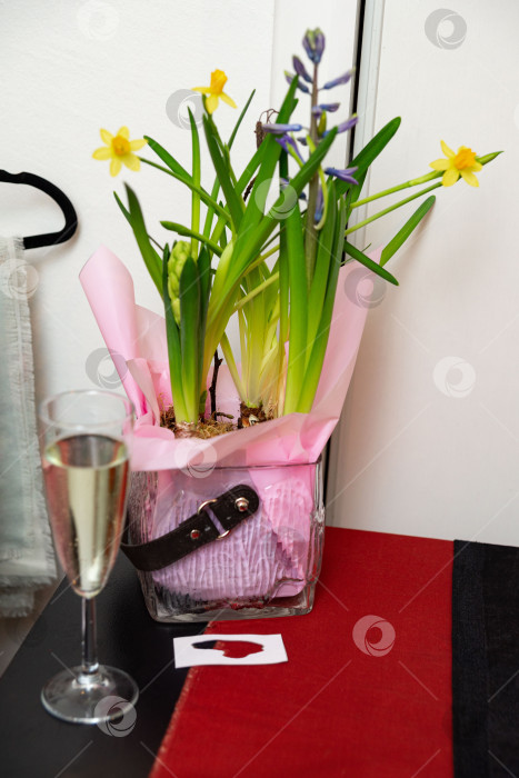 Скачать Весна расцветает вместе с шампанским. фотосток Ozero