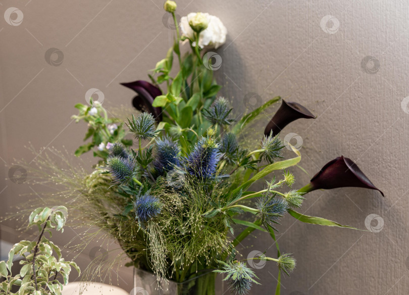 Скачать Элегантная цветочная композиция с чертополохом фотосток Ozero