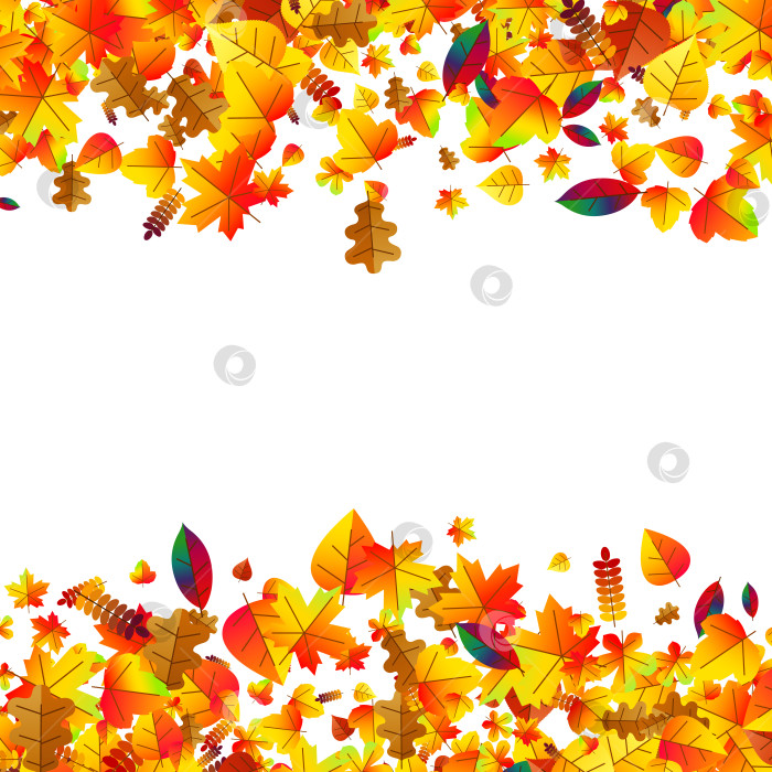 Скачать На фоне разбросанных осенних листьев. Дуб, клен и рябина фотосток Ozero