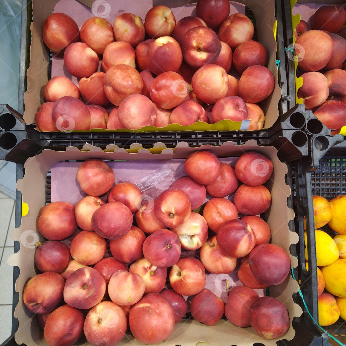 Скачать Отдел нектаринов в магазине "Магнит". фотосток Ozero