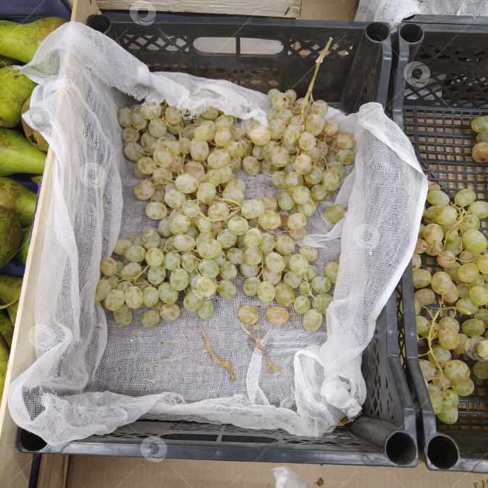 Скачать Отдел винограда в магазине "Победа". фотосток Ozero