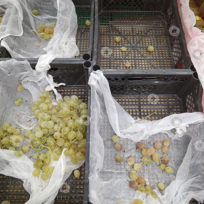 Скачать Отдел винограда в магазине "Победа". фотосток Ozero