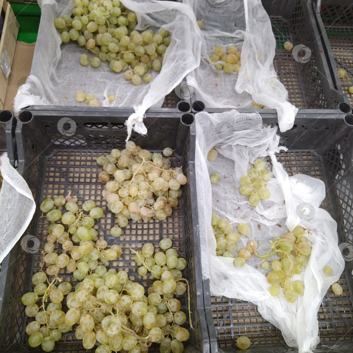 Скачать Отдел винограда в магазине "Победа". фотосток Ozero