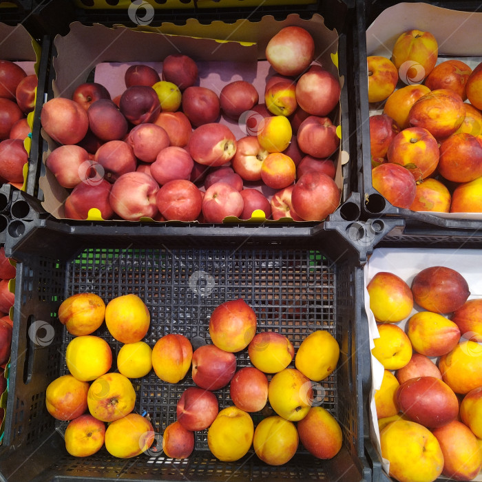 Скачать Отдел нектаринов в магазине "Магнит". фотосток Ozero