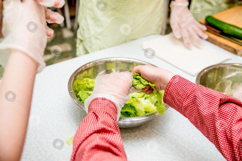 Скачать Шеф-повар кухни ресторана готовит овощной салат, крупным планом нарезает помидор и огурец фотосток Ozero