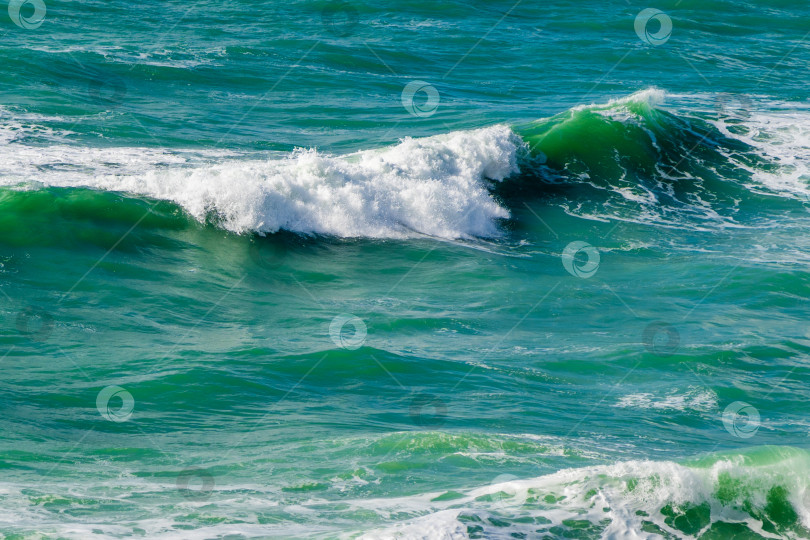 Скачать Черное море спокойное, а вода зеленая фотосток Ozero