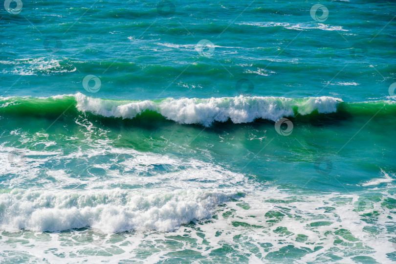 Скачать Черное море спокойное, а вода зеленая фотосток Ozero