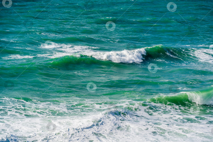 Скачать Черное море спокойное, а вода зеленая фотосток Ozero