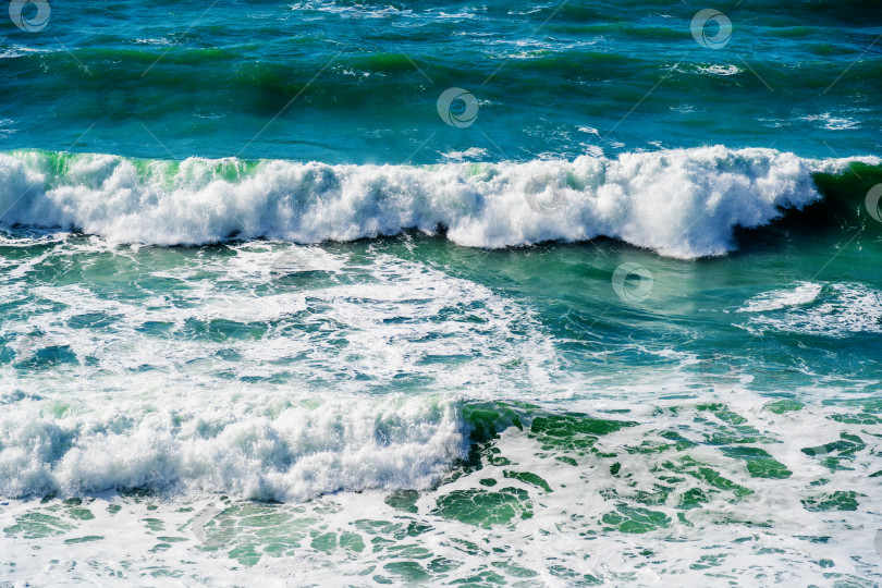 Скачать Черное море спокойное, а вода зеленая фотосток Ozero