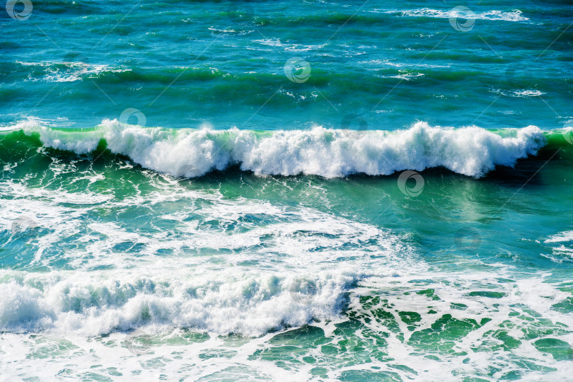 Скачать Черное море спокойное, а вода зеленая фотосток Ozero