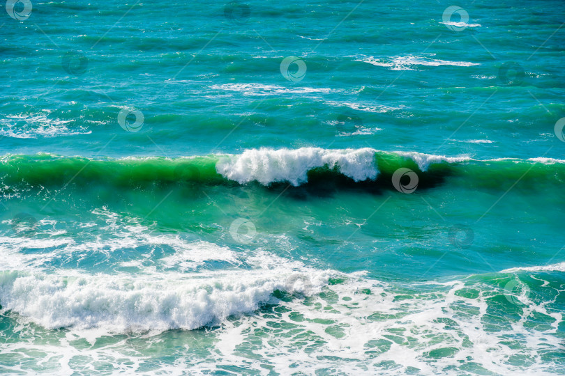 Скачать Черное море спокойное, а вода зеленая фотосток Ozero