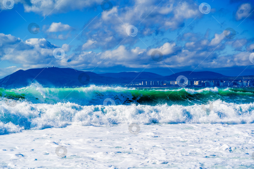 Скачать Черное море спокойное, а вода зеленая фотосток Ozero