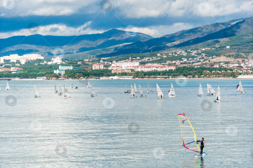 Скачать Геленджик, Россия - 3 ноября 2020 года. Курорт Геленджик. Регата. Мужчина стоит на доске для серфинга в Геленджикской бухте. фотосток Ozero