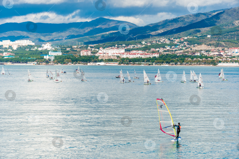 Скачать Геленджик, Россия - 3 ноября 2020 года. Курорт Геленджик. Регата. Мужчина стоит на доске для серфинга в Геленджикской бухте. фотосток Ozero