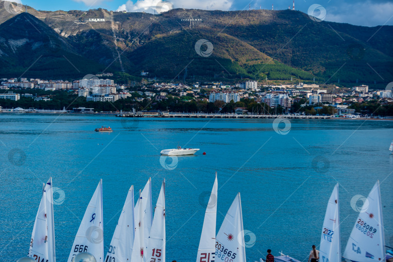 Скачать Геленджик, Россия - 3 ноября 2020 года. Группа парусников пришвартована в воде недалеко от города фотосток Ozero