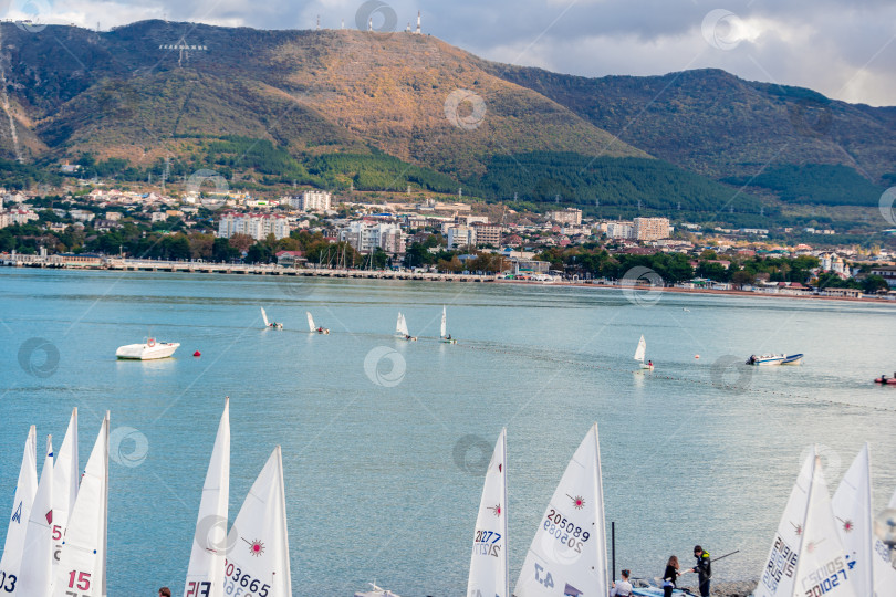 Скачать Геленджик, Россия - 3 ноября 2020 года. Группа парусников пришвартована в воде недалеко от города фотосток Ozero