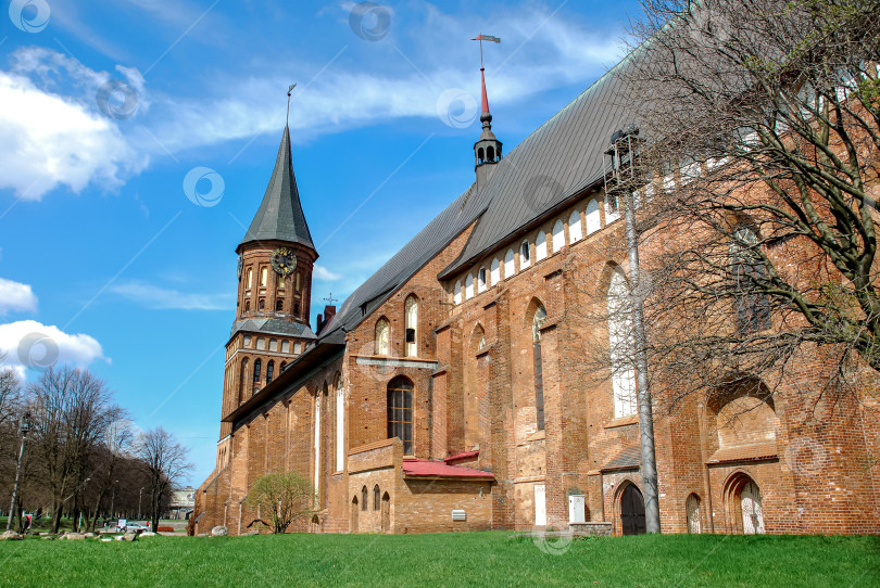Скачать Историческая готическая архитектура кафедрального собора Кенигсберга в солнечный день фотосток Ozero