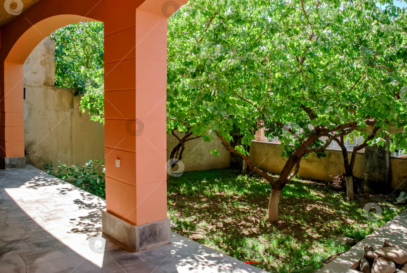 Скачать Солнечный дворик с пышными зелеными деревьями и яркой оранжевой аркой фотосток Ozero