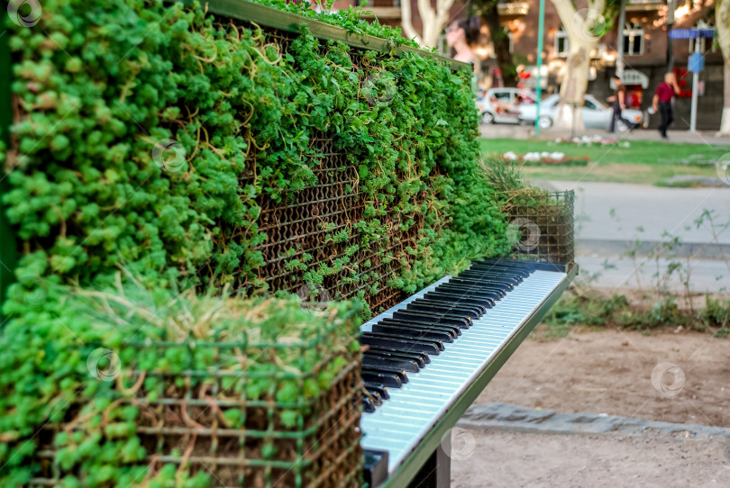 Скачать Уличное пианино, покрытое пышной зеленой листвой, в окружении городского парка фотосток Ozero