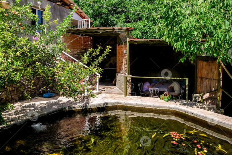 Скачать Тихий задний двор с прудом и зрелой кавказской кухней для взрослых в тенистом патио фотосток Ozero